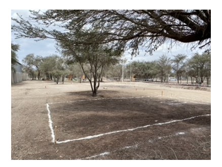 Área verde y equipamiento del proyecto
