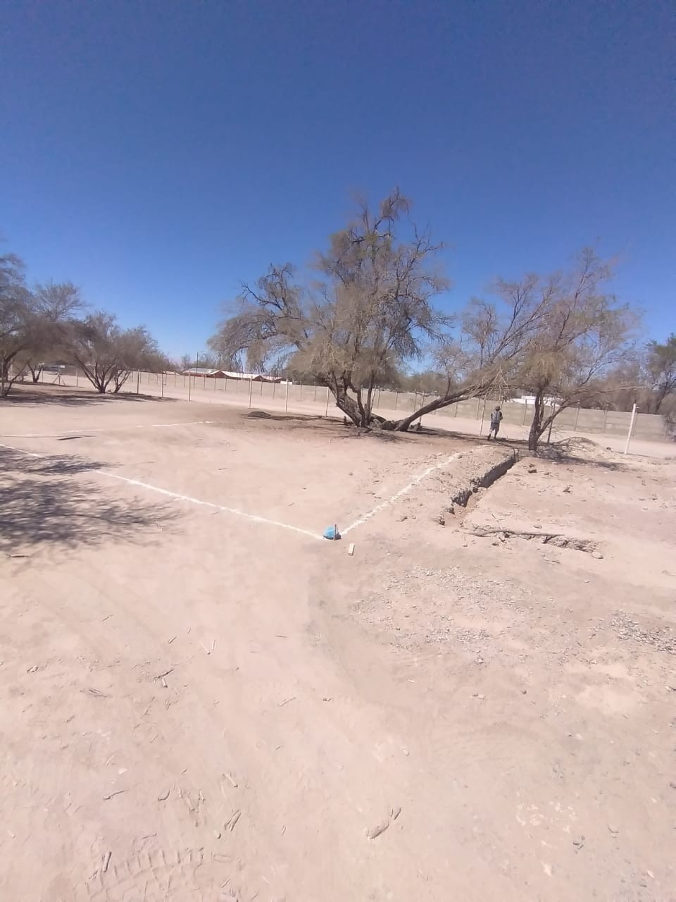 Sitio 7 — fotografía actual del terreno