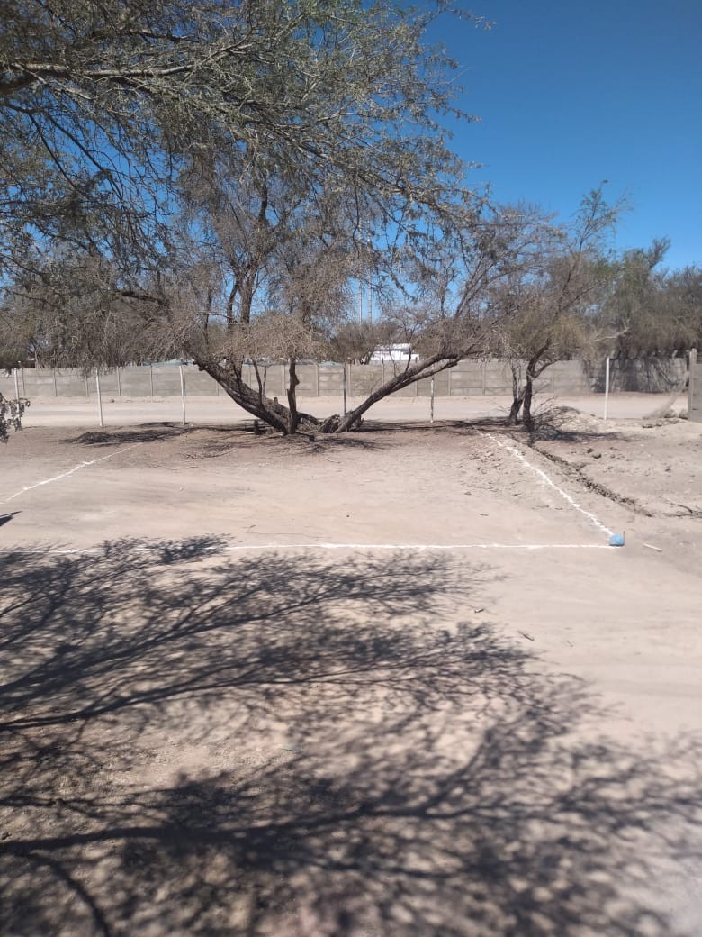 Sitio 7 — deslindes y terreno